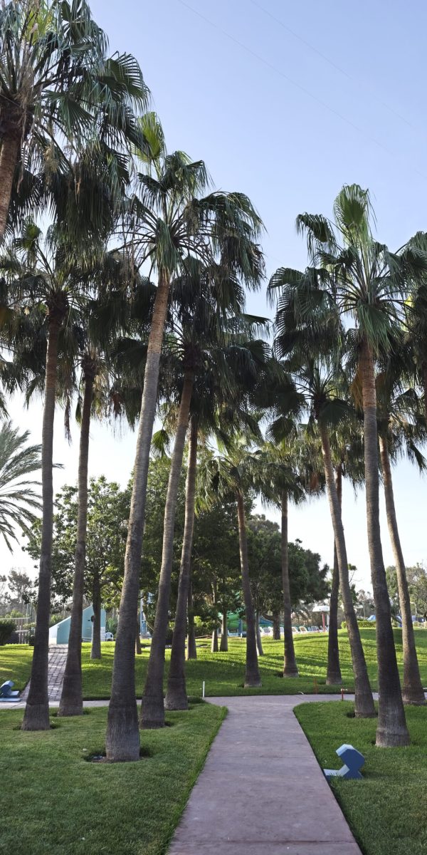 JARDINS JAC_RTA3655 Club all inclusive Agadir All inclusive club Agadir morocco