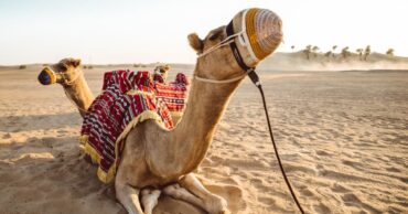 combiner Agadir et Marrakech pour un séjour d’hiver